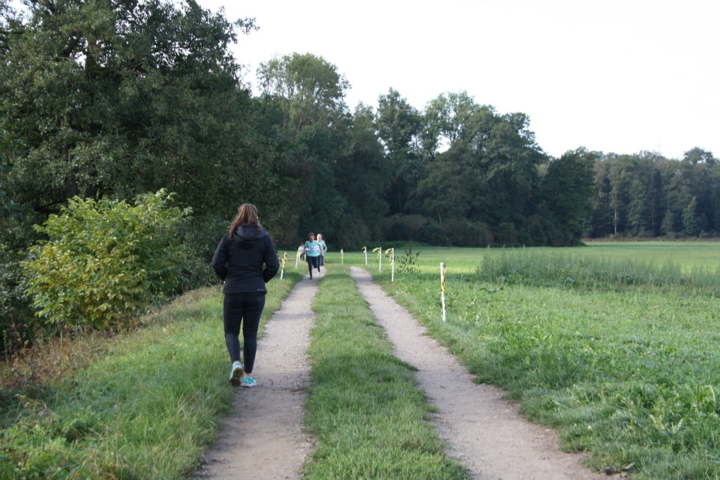 Bild 1 (49)